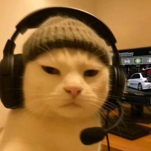 --Kinder-- FACEIT avatar