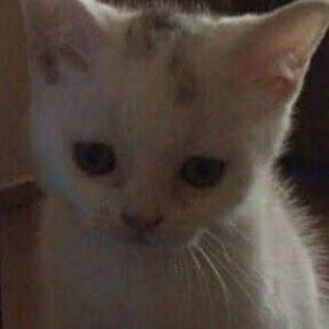 qpqpqpqpqpqpqpq