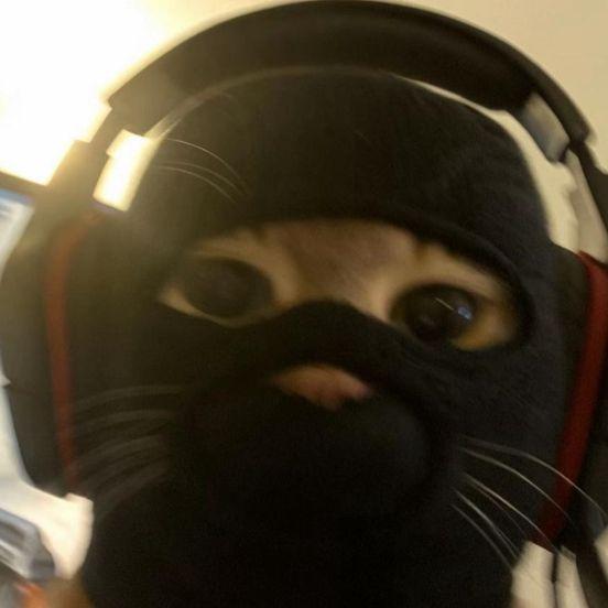 -Synx- avatar