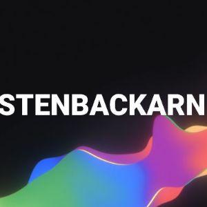 Player StenbackarN avatar