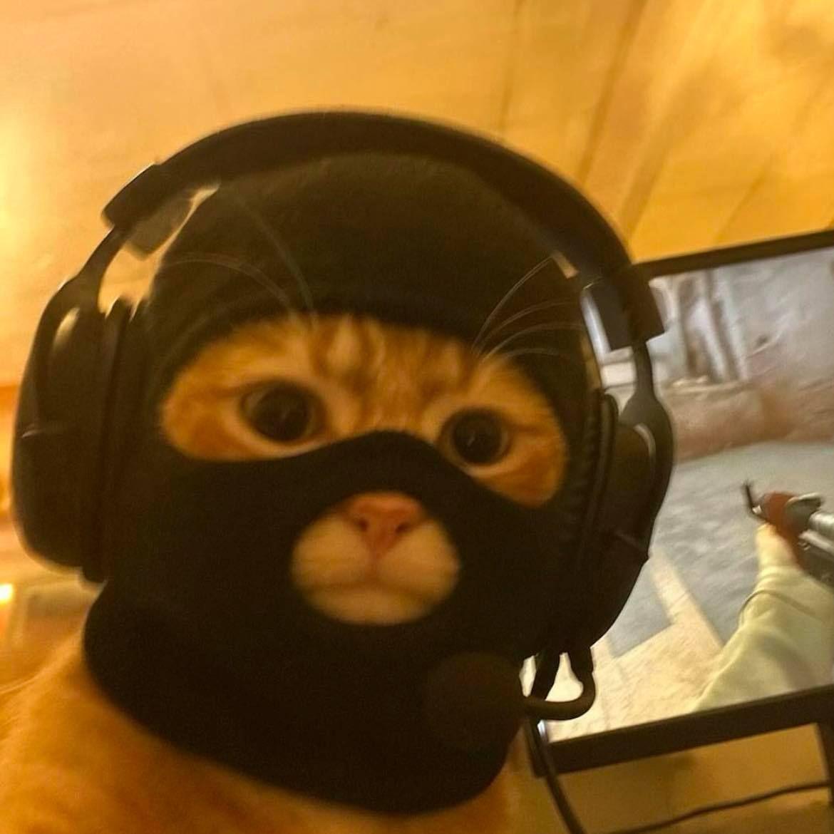 durrz avatar
