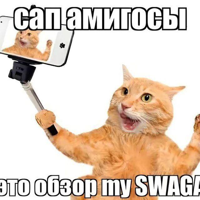 paket_svaga avatar