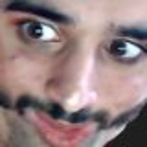 WeHateGeese