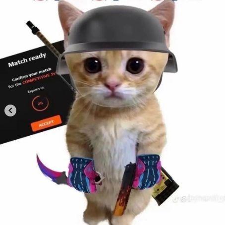 qWinnerPy avatar