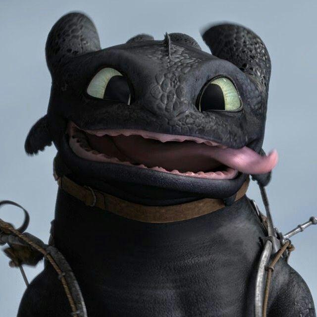 mxvxra avatar