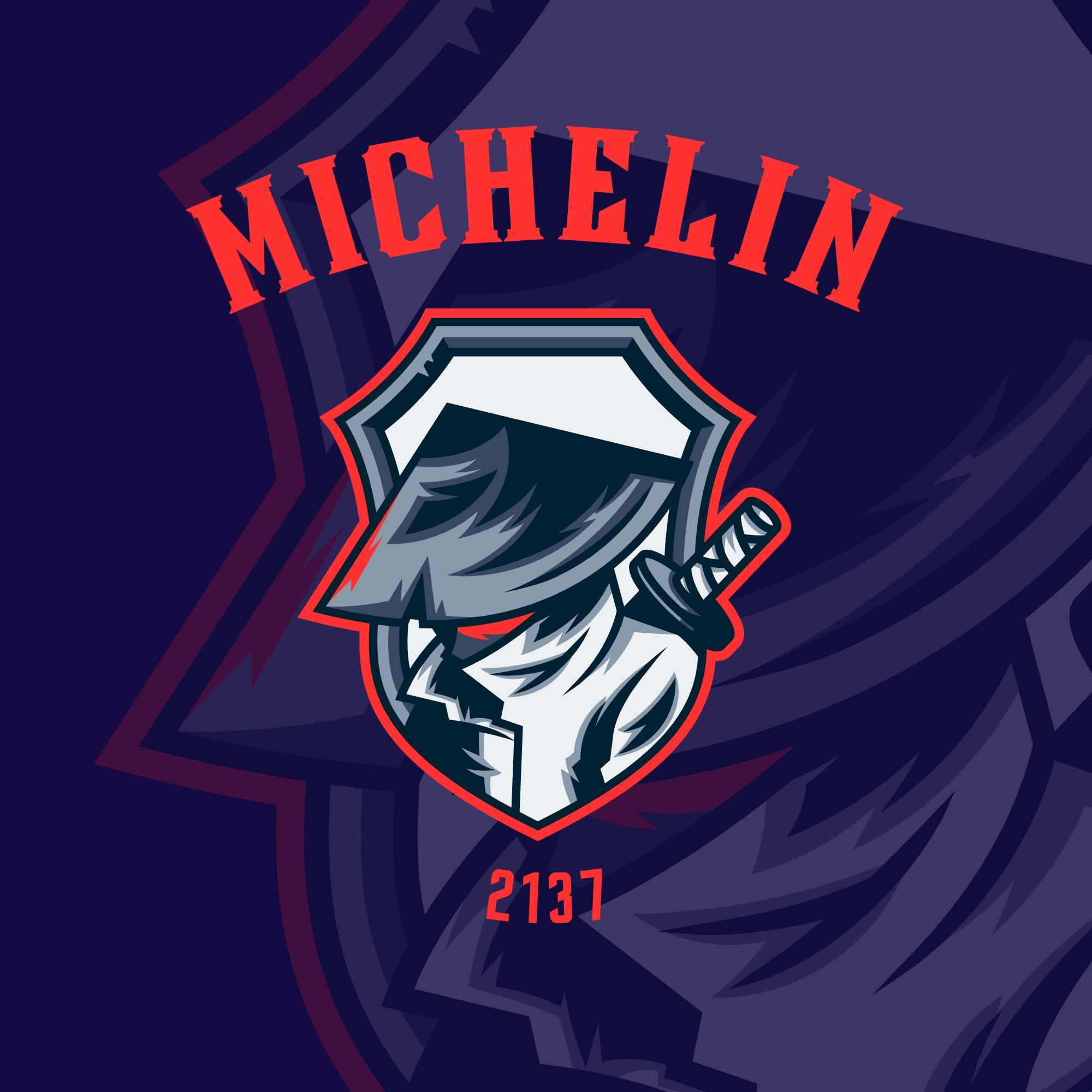 Michelin2137
