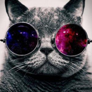Quicktr1ck avatar