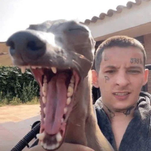 kubrek avatar