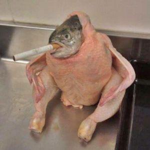 RawFish2369 avatar