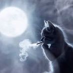 artxmzz
