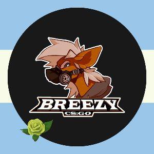 Player BreezyDiz avatar