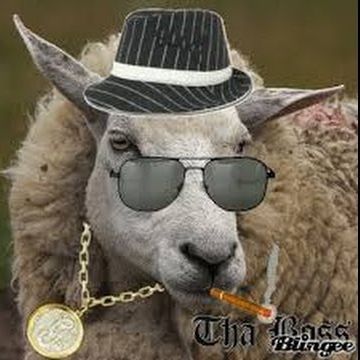 Black SheepZZ