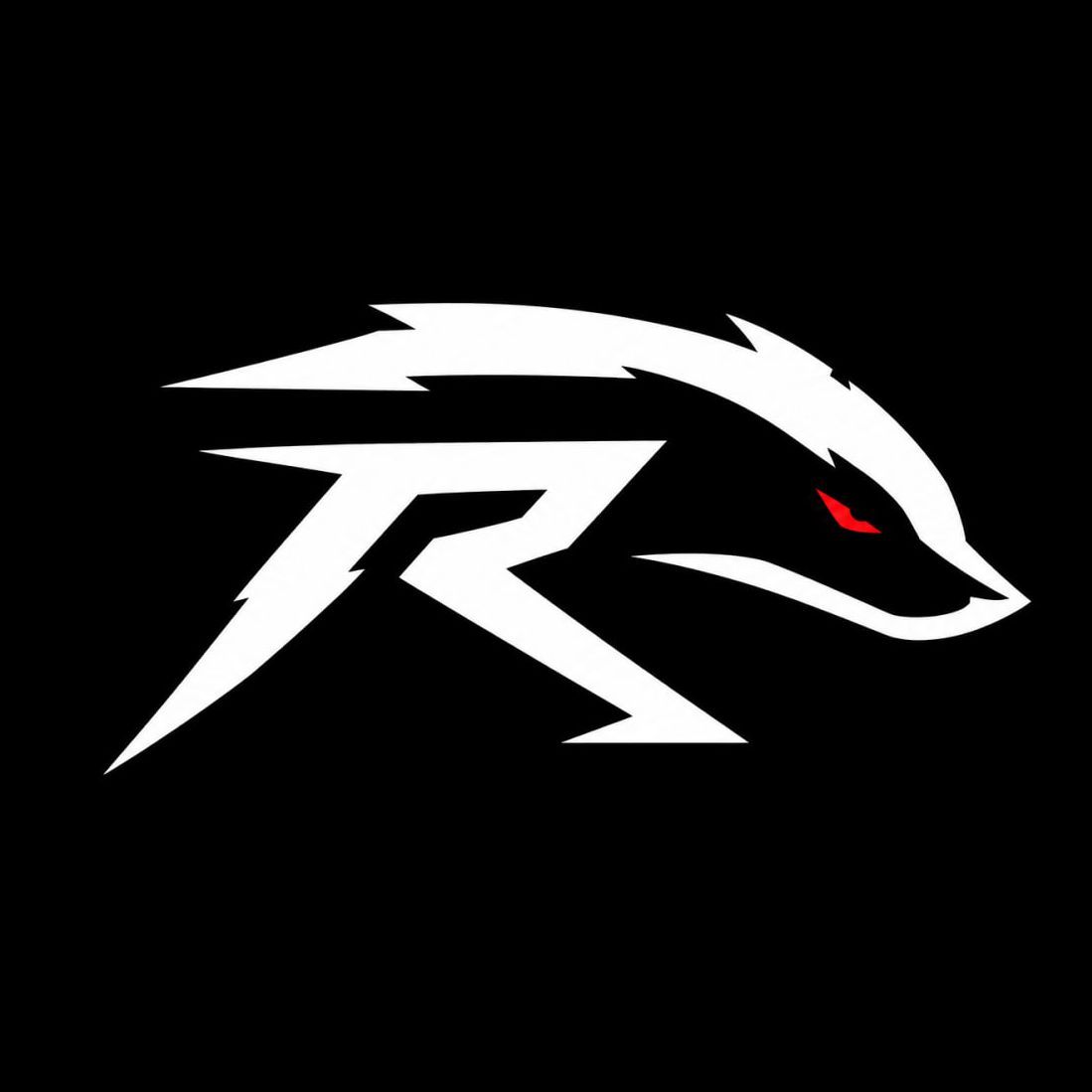 st1ksiks FACEIT avatar