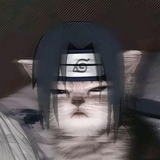 J0rik2 avatar