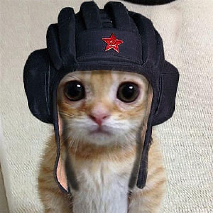 Luz1K7 avatar