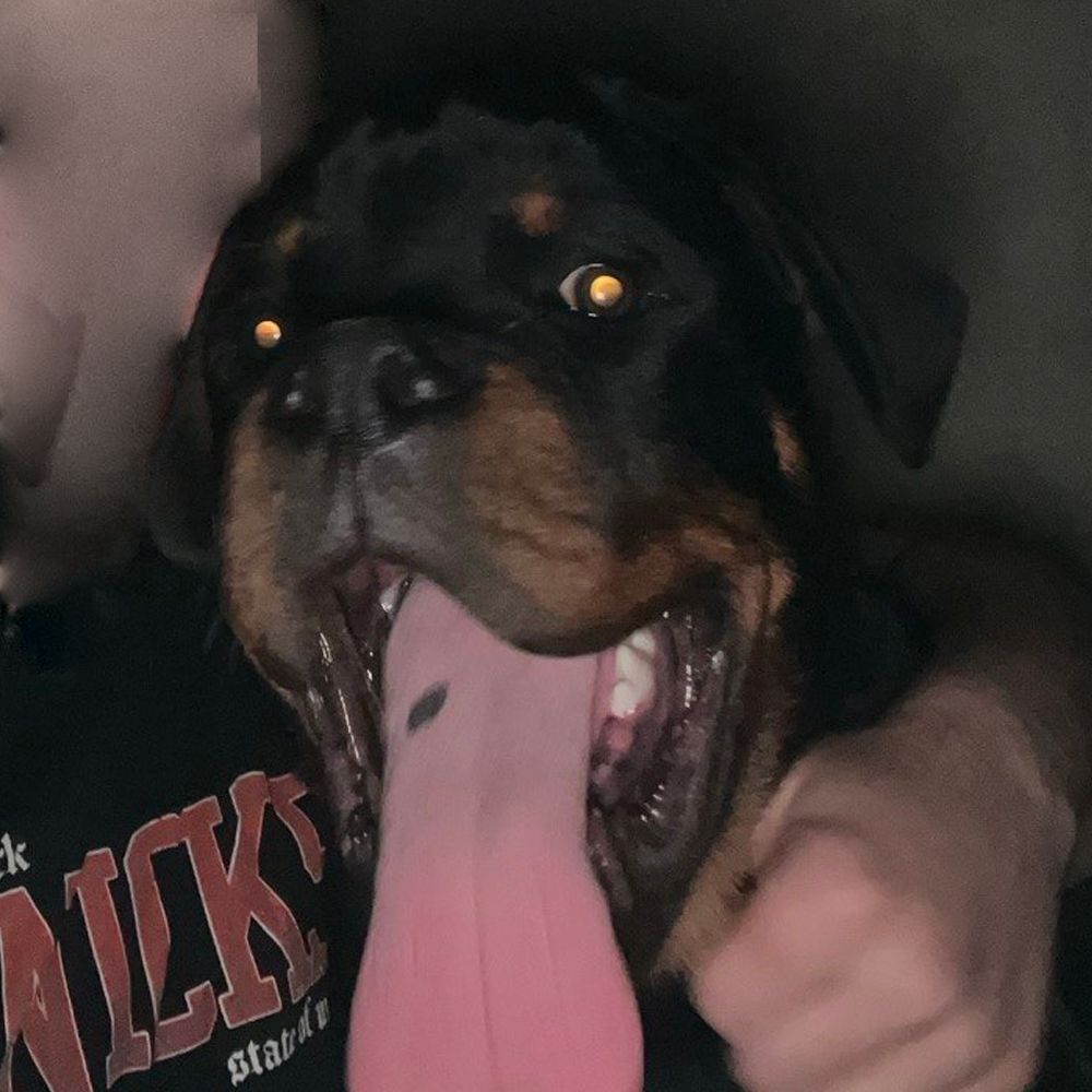 xempy