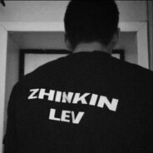 ZHlNKIN_LEV avatar