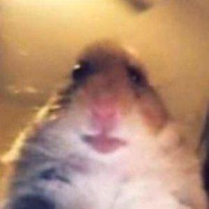 31gfurkan avatar