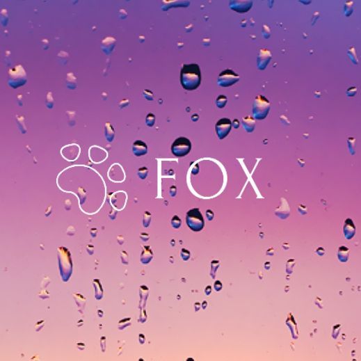 f0x_____