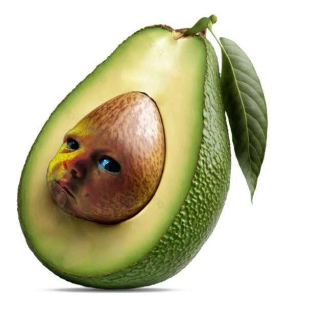 MaminSpinogr avatar