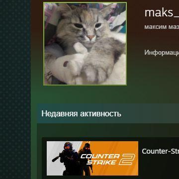 maks_pro455 avatar