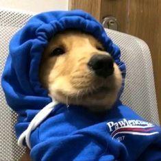 MarioskiI avatar