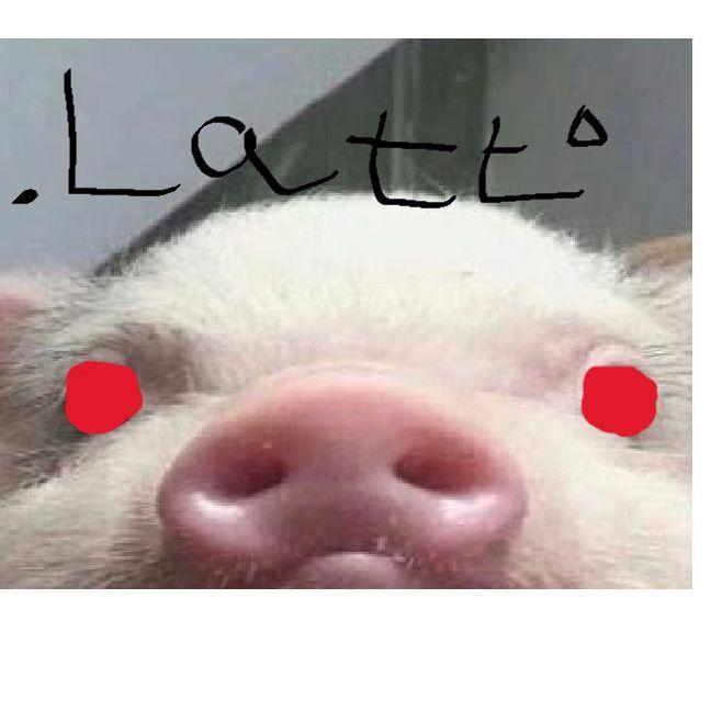 _latypov