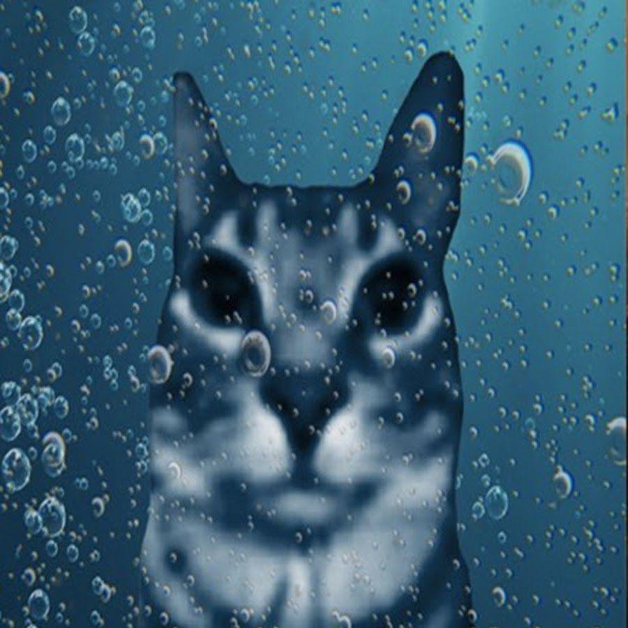 Cattries avatar