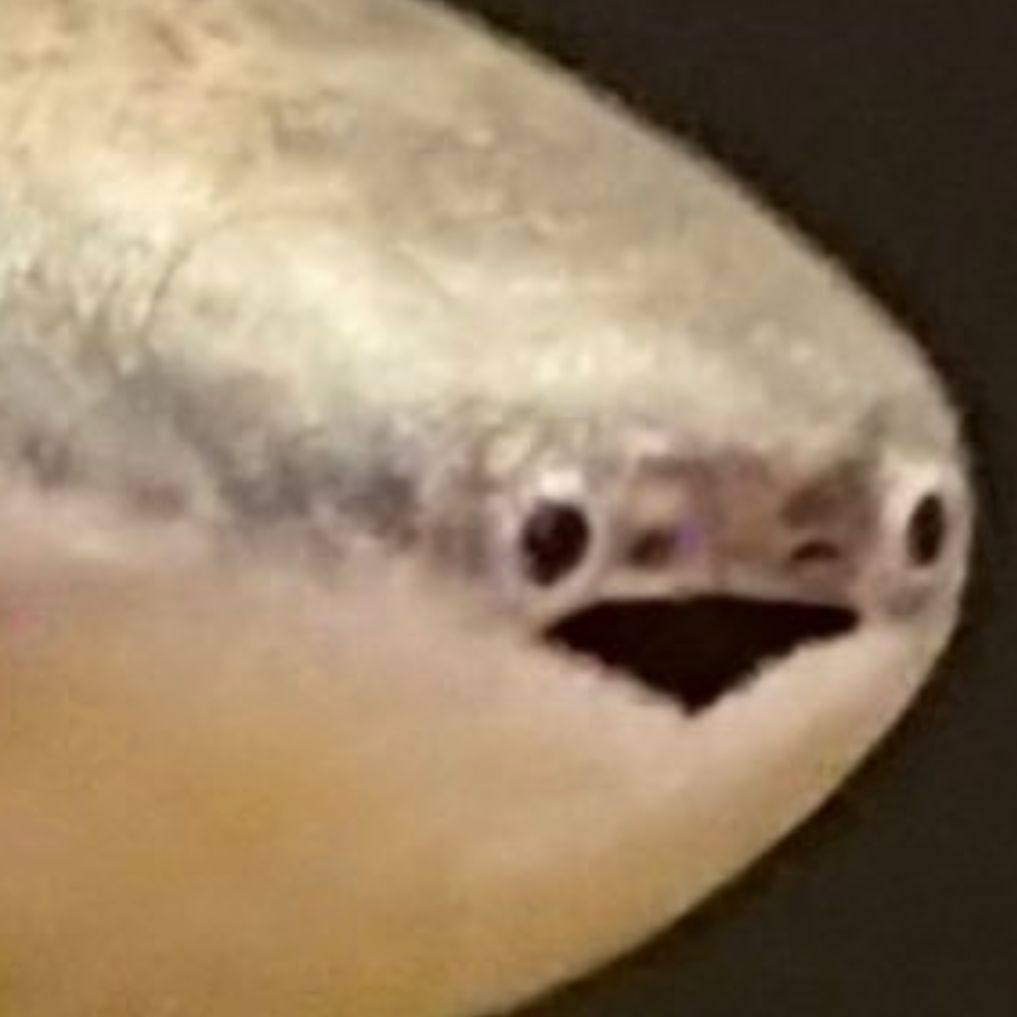 JaKoGR