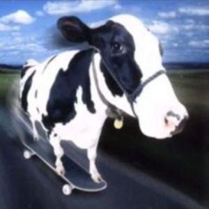 Mindozas_ avatar