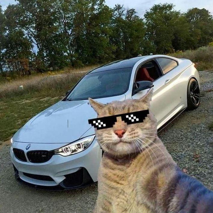 NEG1TIV73 avatar