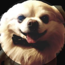 Faceit profile picture for @resolved