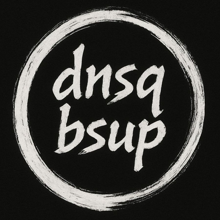 dnsqbsup