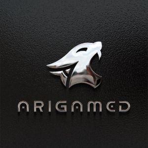 Player AriGamed avatar