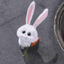ROCKE7BUNNY