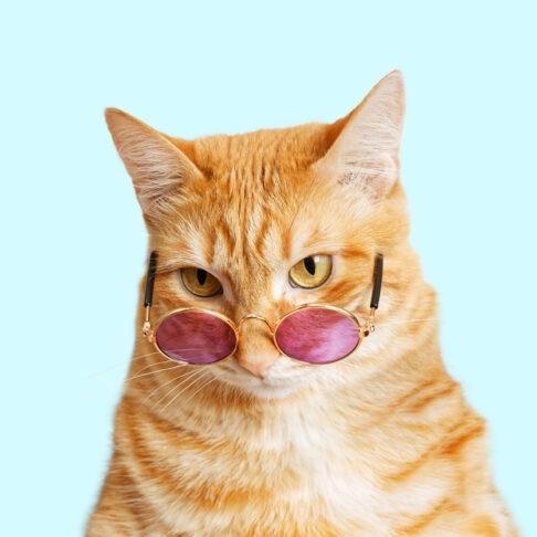TonyMontna1 avatar