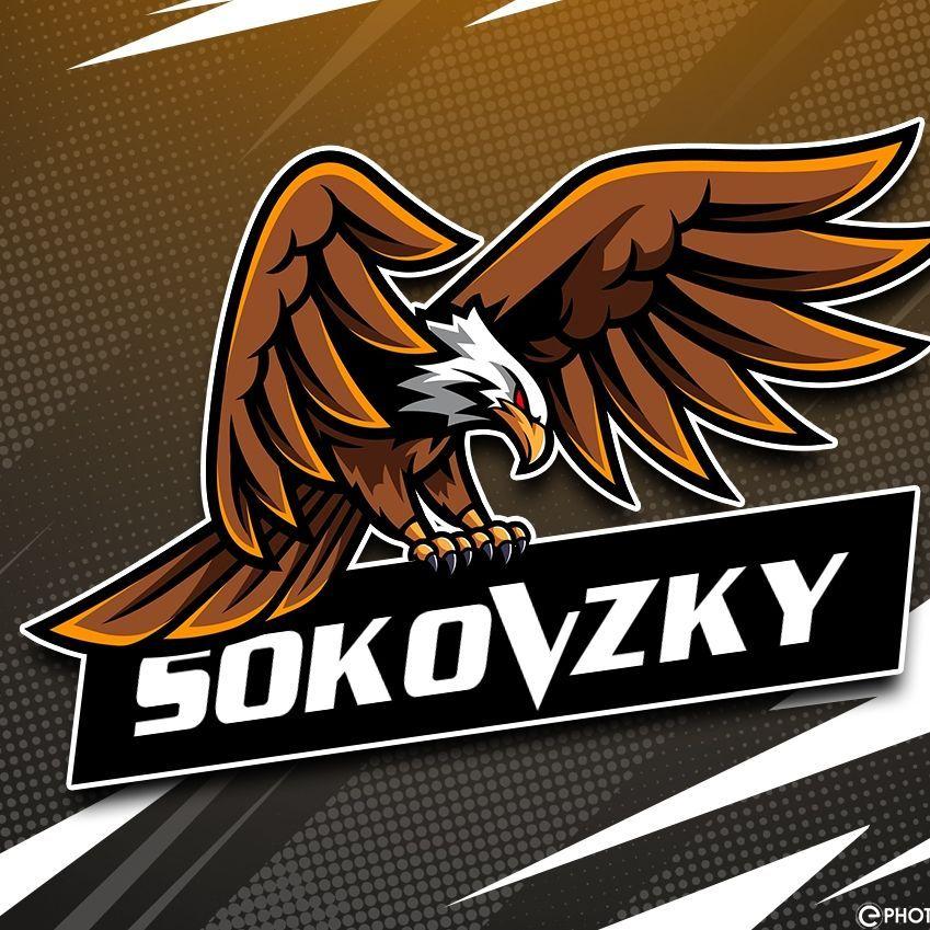 Sokowsky avatar