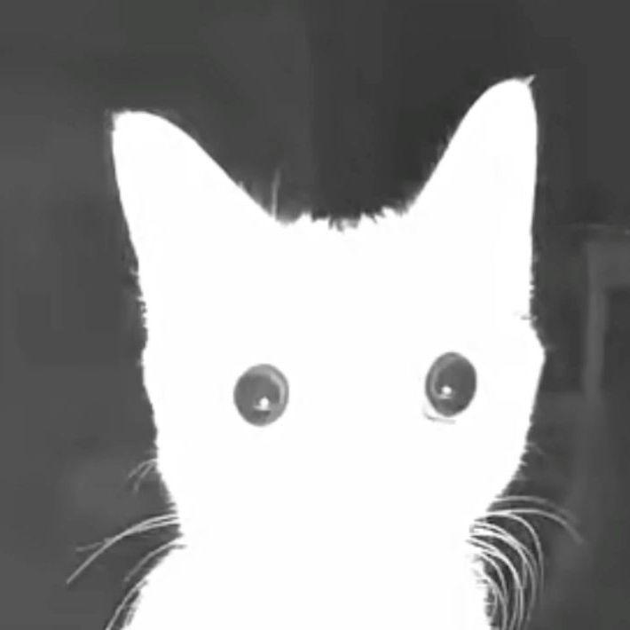 dUk4Sa avatar