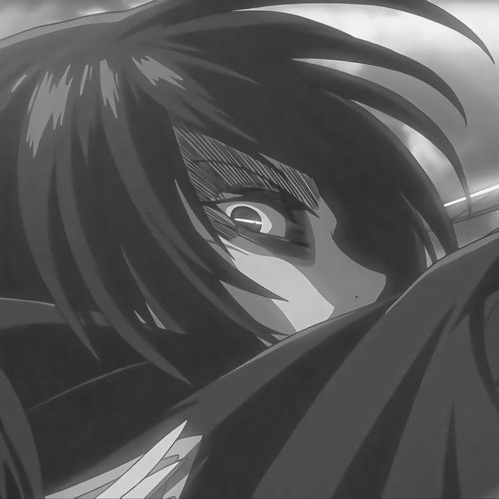 Player Mikasa927 avatar