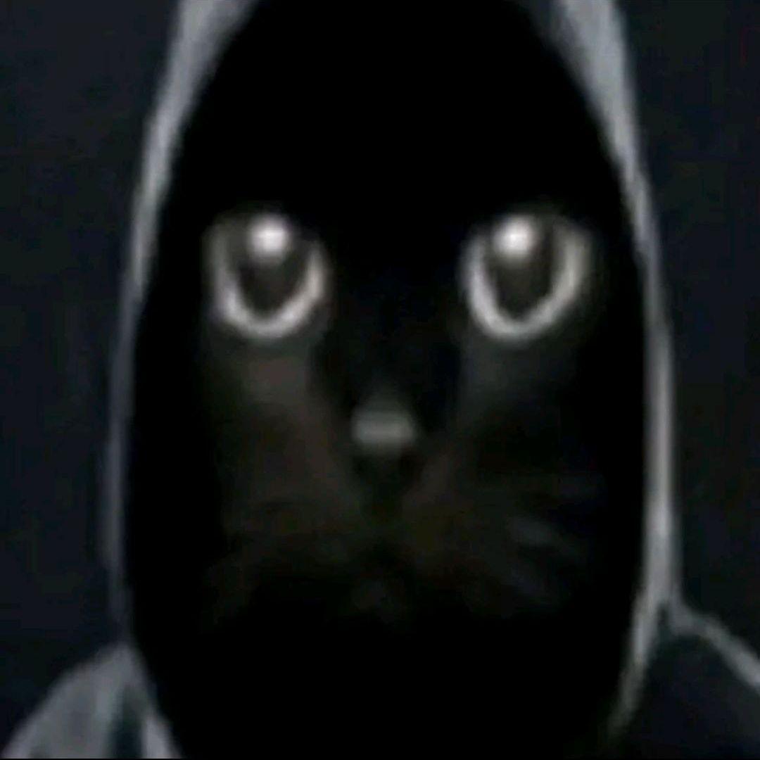 jormunaol avatar