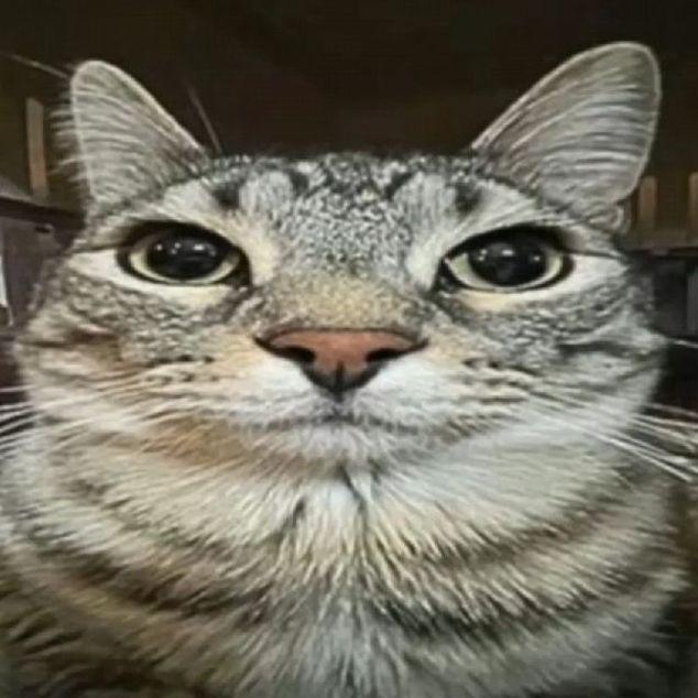 _batya_01 avatar