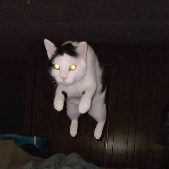 br0uk_ avatar