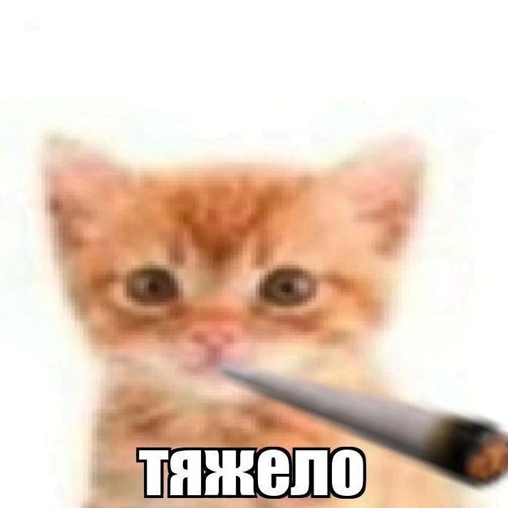 -Meyo