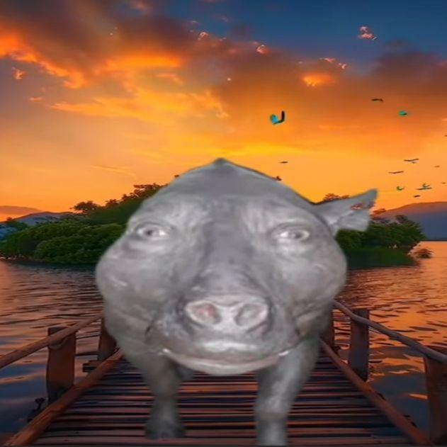 PakoraMusa69