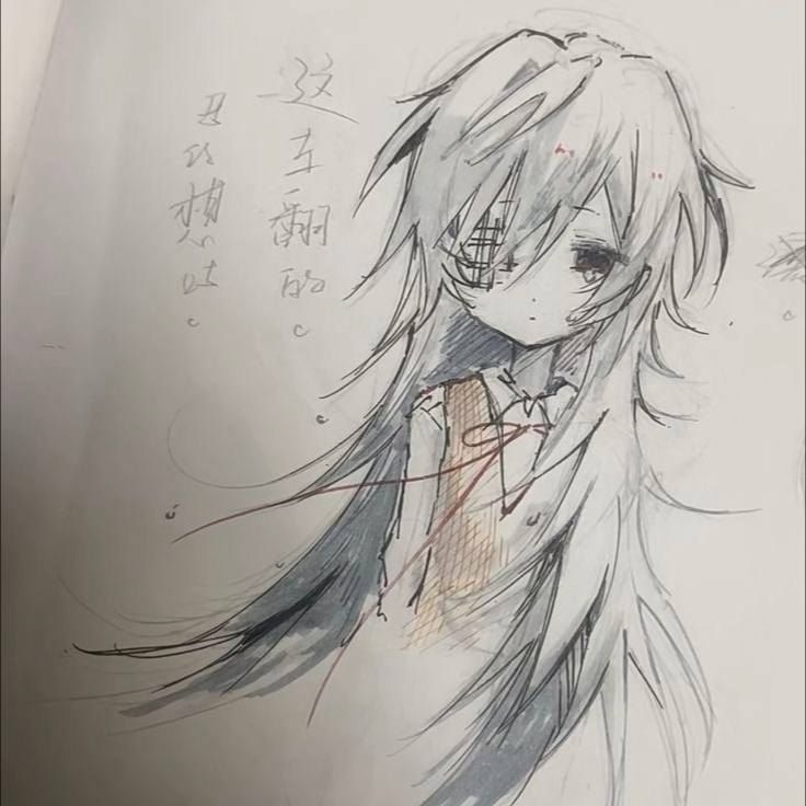 T3Jl4k1d