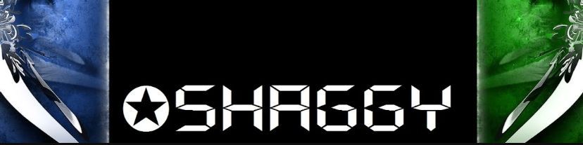 Faceit banner for @shag