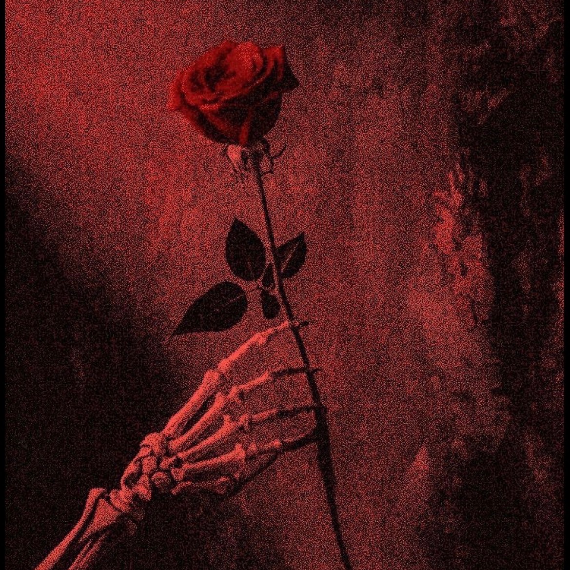 -DRAKULA-666