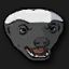 Faceit profile picture for @wet