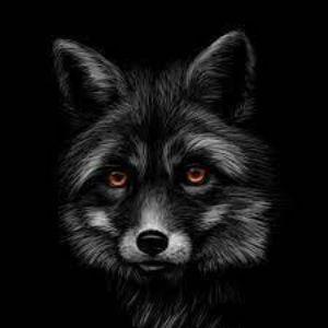 -Rosenrot avatar