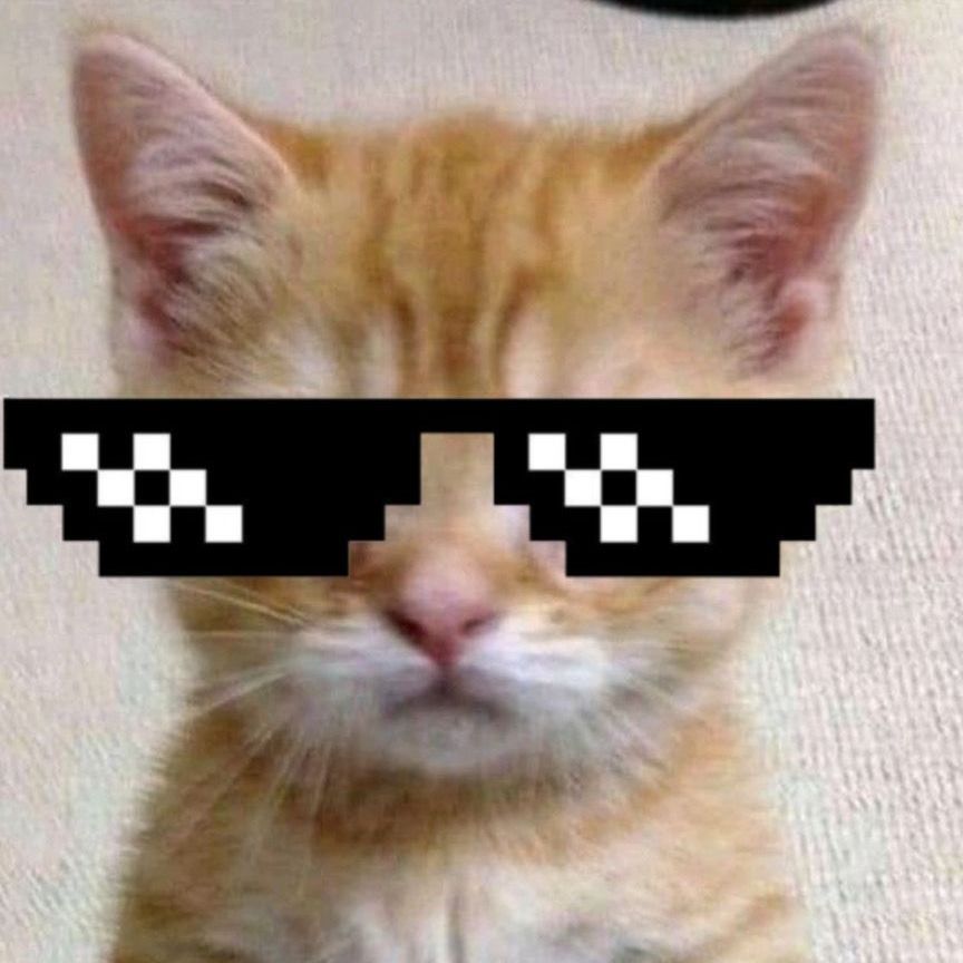 Faceit Avatar